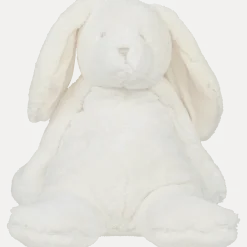 Halipupu