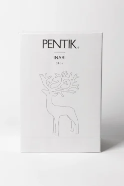 Inari Hopeoitu Poro