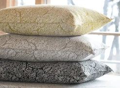 Jäkälä Tyynynpäällinen