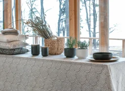 Jäkälä Tyynynpäällinen