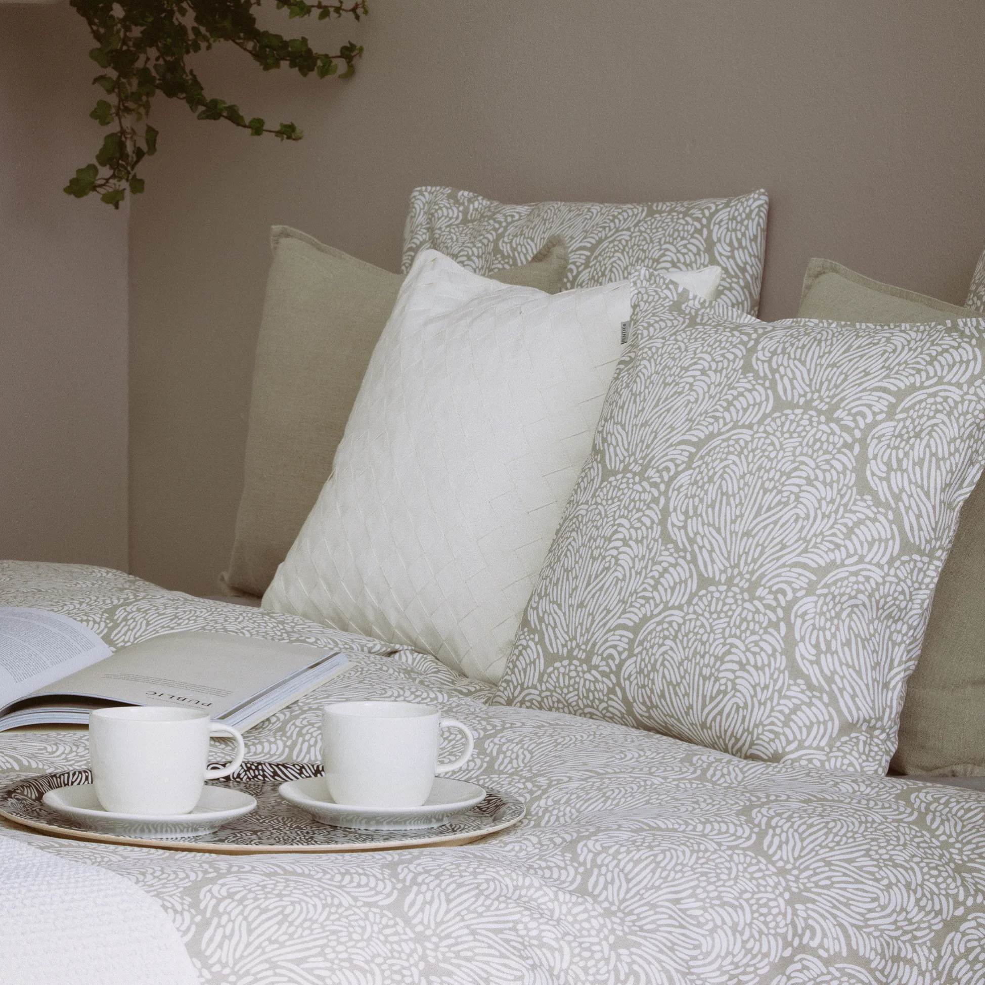 Jäkälä Tyynynpäällinen