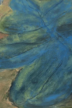 Kasvu Art Taideteos
