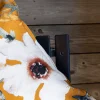 Kosmoskukka Tyynynpäällinen