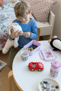 Kukkakeiju Eväsrasia