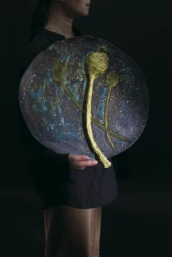 Siemenkota Art Taideteos