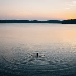 Tuntu Lautanen Syvä