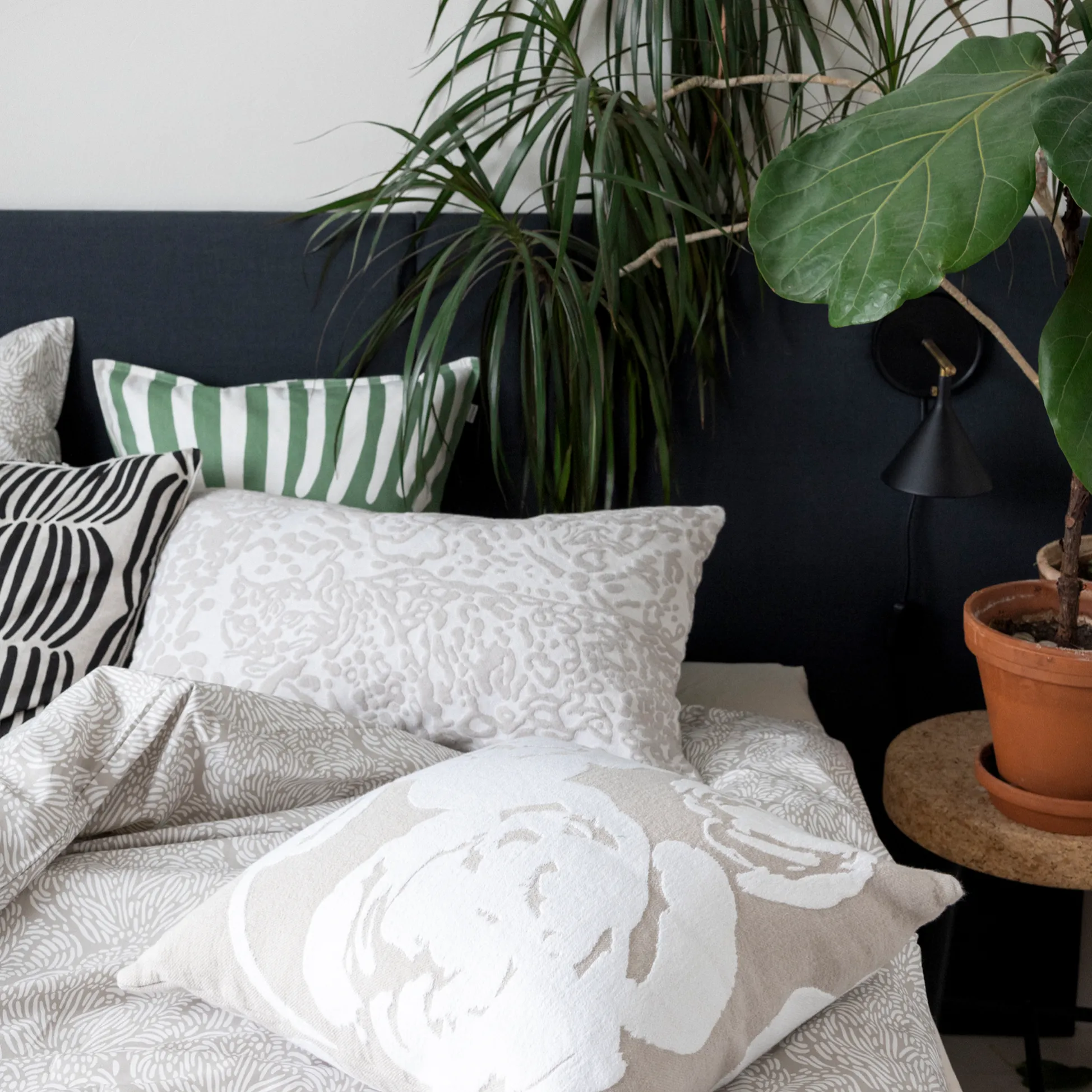 Villikissa Tyynynpäällinen